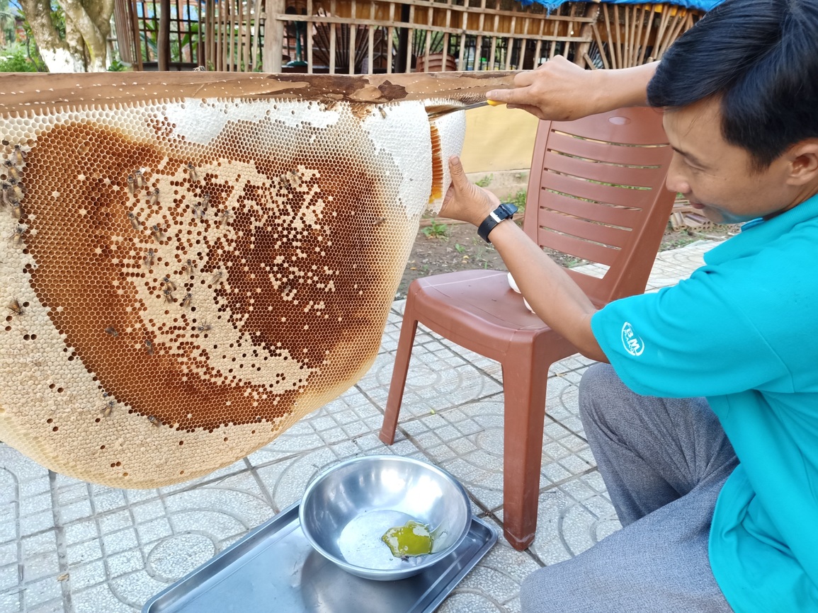 Từ mật ong rừng U Minh Hạ đến nghề di sản văn hóa phi vật thể Quốc gia - 6 Từ mật ong rừng U Minh Hạ đến nghề di sản văn hóa phi vật thể Quốc gia - 6