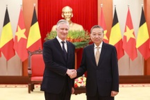 Tổng Bí thư Tô Lâm và Nhà vua Bỉ bàn về định hướng hợp tác