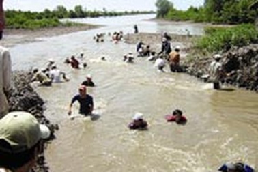 Cà Mau: Người dân phá đập cứu tôm