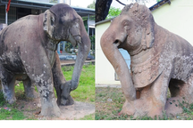 Hai tượng voi đá nghìn năm tuổi ở Bình Định