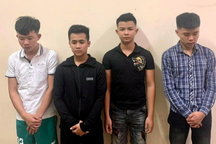 5 thanh niên phá ruộng dưa của cụ ông để trả thù