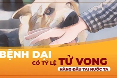 Bị chó nhà cắn, bé trai 2 tuổi phát bệnh dại