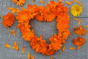 Đoán tình yêu qua tính cách của bạn