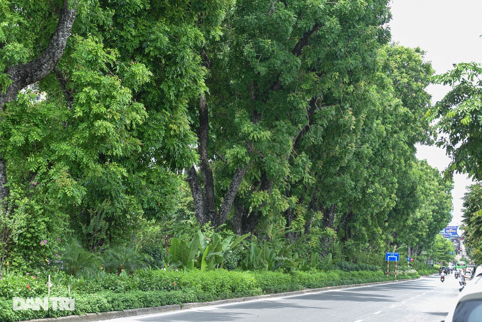 Những con đường giúp giải nhiệt giữa ngày nắng nóng ở Hà Nội - 11 Những con đường giúp giải nhiệt giữa ngày nắng nóng ở Hà Nội - 11