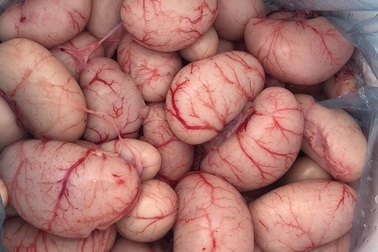 “Thần dược” ngọc kê tiến vua giá bạc triệu, chị em không tiếc tiền mua tẩm bổ cho chồng