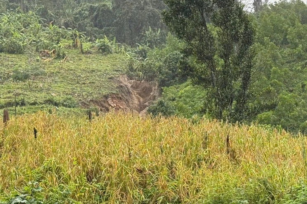Sạt lở đồi trong mưa lớn, phong tỏa đường ở Gia Lai - 1 Sạt lở đồi trong mưa lớn, phong tỏa đường ở Gia Lai - 1
