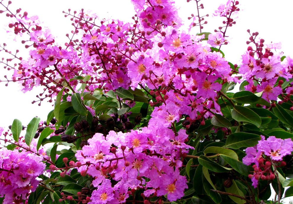 An ủi người trong mộng một thời, tôi đã cắm sừng vợ - 1 An ủi người trong mộng một thời, tôi đã cắm sừng vợ - 1