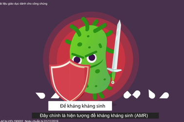 Sử dụng kháng sinh và những điều cần lưu ý