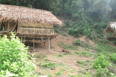 Xét xử lưu động kẻ gây thảm sát ở Nghệ An