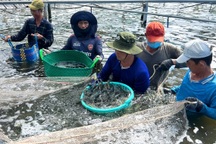 Trả lương 20-60 triệu/tháng, công ty vẫn "đỏ mắt" tìm lao động