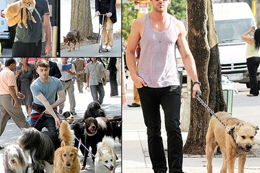 Những “hot boy” Hollywood yêu chiều cún cưng hết mực