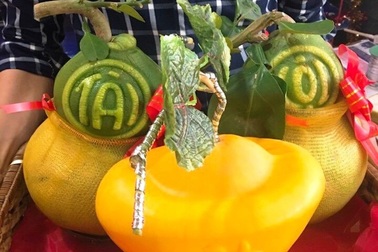 Trái cây độc, lạ miền Tây ồ ạt lên TPHCM phục vụ Tết