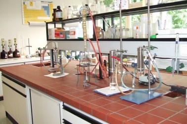                     Xin đừng lãng phí “nguyên khí của quốc gia”…