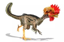 Biến đổi gà thành khủng long - tại sao lại khả thi?