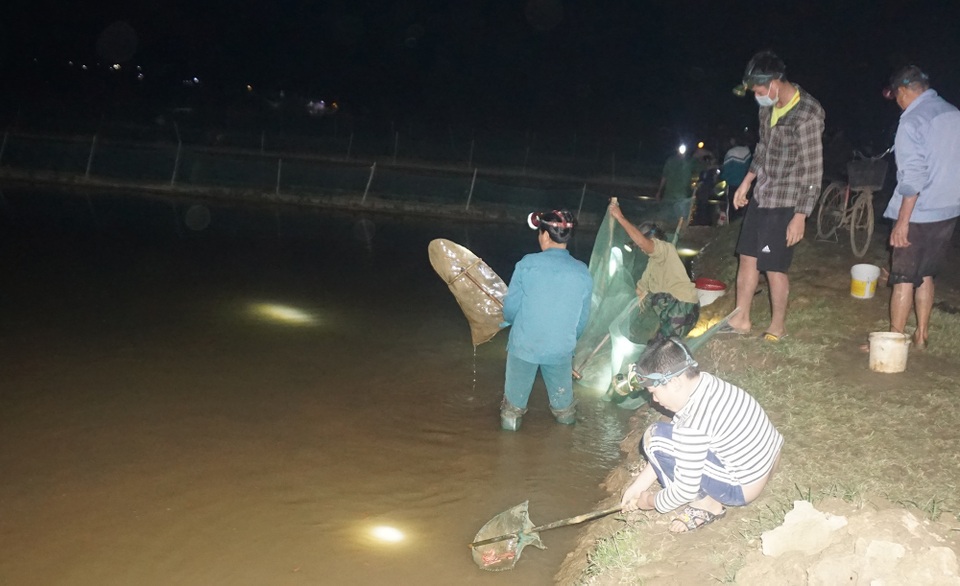 Mỗi ngày đút túi gần chục triệu đồng nhờ vớt lộc đùn lên từ đất - 5 Mỗi ngày đút túi gần chục triệu đồng nhờ vớt lộc đùn lên từ đất - 5