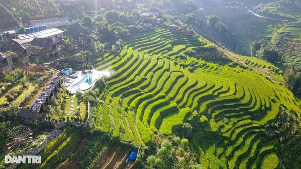 Việt Nam thay thế vị trí Thái Lan trở thành điểm đến trăng mật hoàn hảo - 1 Việt Nam thay thế vị trí Thái Lan trở thành điểm đến trăng mật hoàn hảo - 1