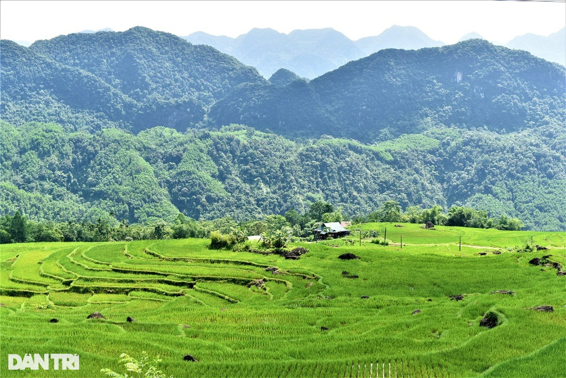 Vẻ đẹp hút hồn ở Pù Luông nơi được mệnh danh là thiên đường giữa đại ngàn - 9