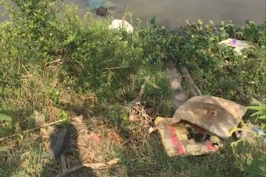 Phát hiện thi thể nam thanh niên sau 4 ngày mất tích