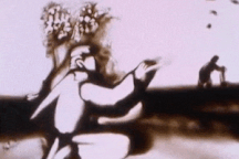 Lắng lại trước bức tranh cát “xin đừng quá muộn màng”