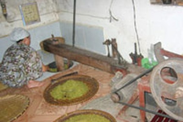 Hàng trăm ngàn nông dân có nhà lầu xe xịn nhưng vẫn đói 