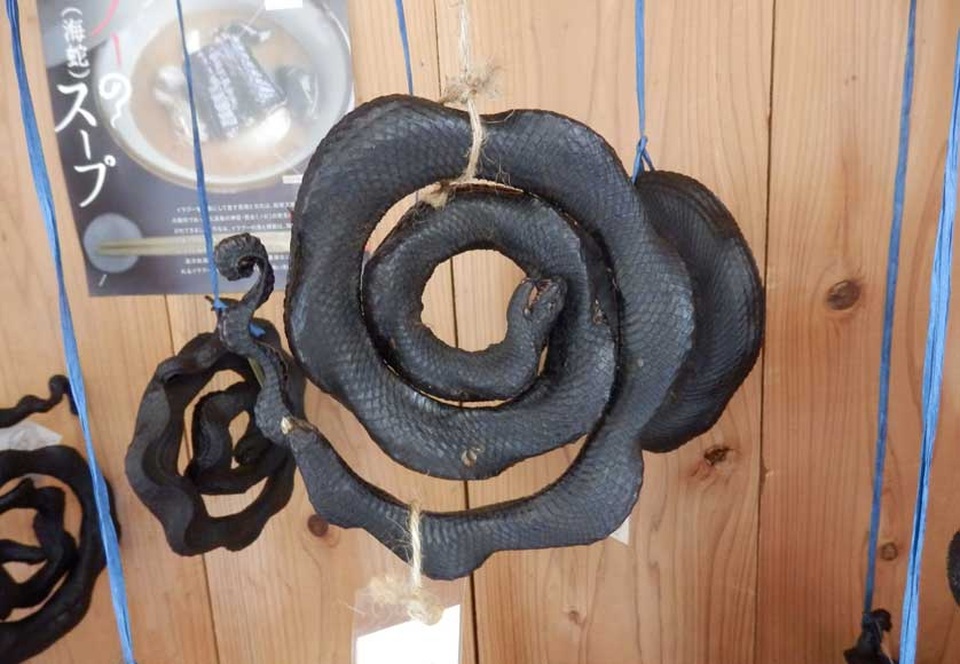 Hai cụ bà 70 tuổi dùng tay không bắt loài rắn độc hơn cả hổ mang - 5