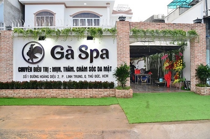 Chi nhánh 2 Công ty TNHH Một thành viên Gà Spa khám, chữa bệnh mà không có giấy phép hoạt động khám, chữa bệnh.