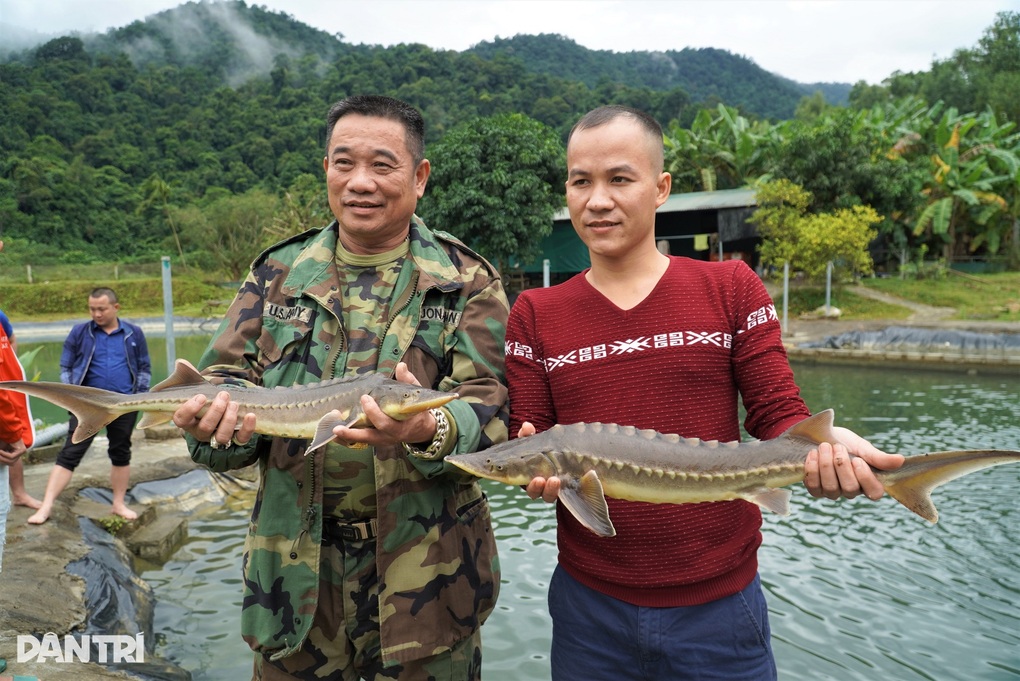 Bất ngờ với chiêu nuôi loài cá của nữ hoàng trong rừng sâu - 2 Bất ngờ với chiêu nuôi loài cá của nữ hoàng trong rừng sâu - 2