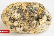 Vô tình vớ được "báu vật trời ban" giá hơn 6 tỷ đồng khi đi dạo trên biển