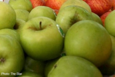 Malaysia cấm nhập táo Mỹ do nhiễm khuẩn