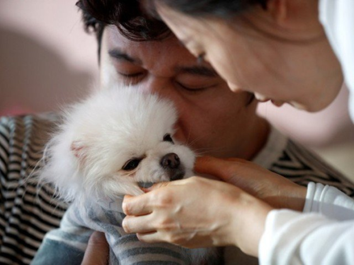 Tranh cãi quan điểm: Chọn nuôi thú cưng thay vì sinh con là ích kỷ? - 1 Tranh cãi quan điểm: Chọn nuôi thú cưng thay vì sinh con là ích kỷ? - 1