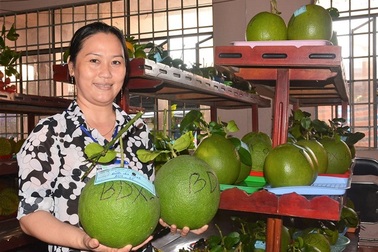 Độc đáo Lễ hội trái cây ngon, an toàn ở xứ Dừa