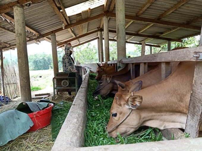 Viết tiếp theo dự án La Tưng: Cần sớm tháo gỡ để người dân thật sự thoát nghèo - Ảnh 4.