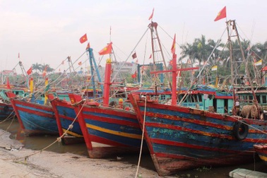 Nam Định và Thái Bình kêu gọi hàng nghìn tàu thuyền vào tránh bão Talim