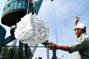 Khởi tố Phó Tổng giám đốc công ty lương thực miền Nam