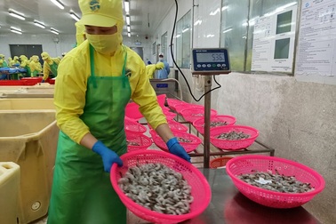 Cần Thơ: Thưởng Tết Nguyên đán cao nhất là 113 triệu đồng