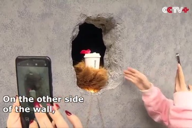 Xếp hàng dài chờ mua đồ uống qua lỗ thủng