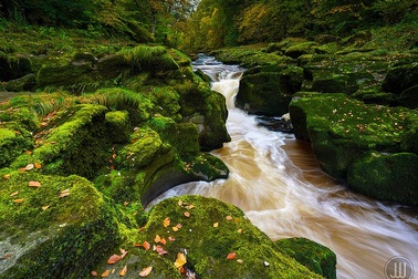 Dòng suối thơ mộng với cái "bẫy ngọt ngào chết người"