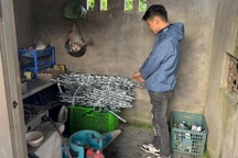 Triệu tập nghi phạm cắt trộm 121m dây cáp điện ở Hải Phòng