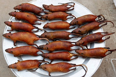 Những món ăn Việt khiến người nước ngoài “lắc đầu, lè lưỡi”