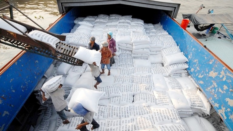 Xuất khẩu gạo đánh mất “cơ hội vàng”, doanh nghiệp tiếp tục khó khăn - 2 Xuất khẩu gạo đánh mất “cơ hội vàng”, doanh nghiệp tiếp tục khó khăn - 2
