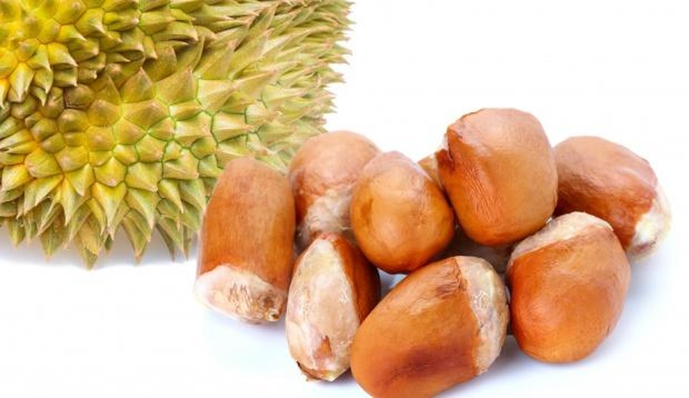 Bất ngờ với những lợi ích sức khỏe tuyệt vời của hạt sầu riêng - 1 Bất ngờ với những lợi ích sức khỏe tuyệt vời của hạt sầu riêng - 1