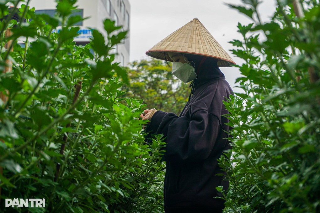 Việc thời vụ ra tiền cho sinh viên kiếm khoản tiêu Tết - 3 Việc thời vụ ra tiền cho sinh viên kiếm khoản tiêu Tết - 3