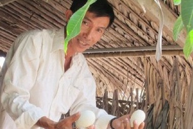 Vụ án quán “Xin chào” và cái chòi vịt: Dấu hiệu bất thường, tuy hai mà một