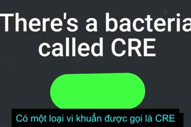 Bệnh nhiễm trùng chết người từng chỉ có trong bệnh viện hiện đã lan ra cộng đồng