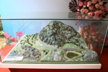 Công nghệ lấy nước từ vách núi đạt giải thưởng khoa học danh giá