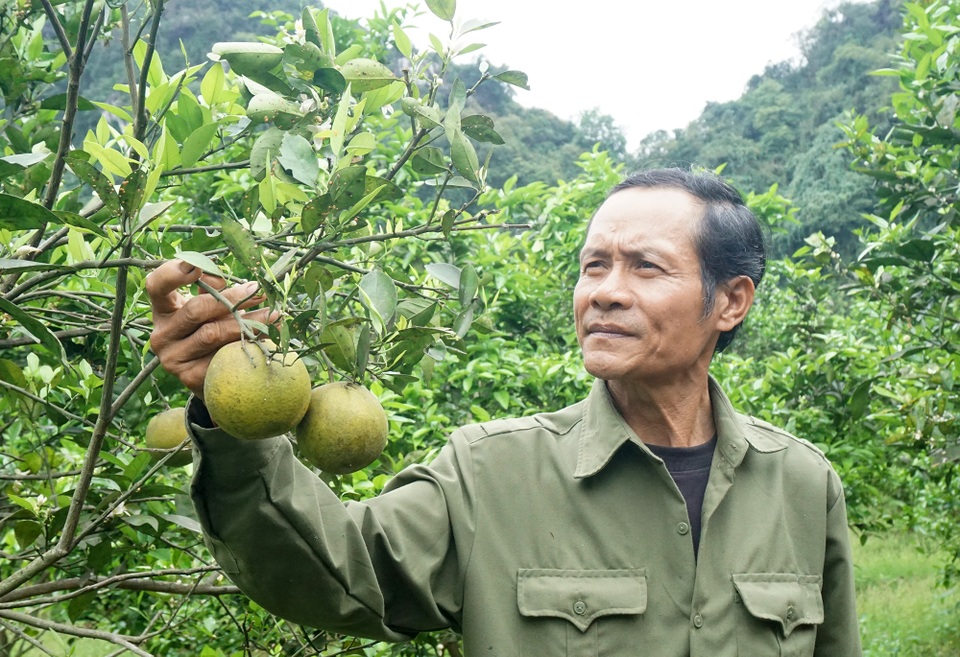 Thoát án chung thân vì tội giết người, ra tù trở thành nông dân giỏi - 4 Thoát án chung thân vì tội giết người, ra tù trở thành nông dân giỏi - 4