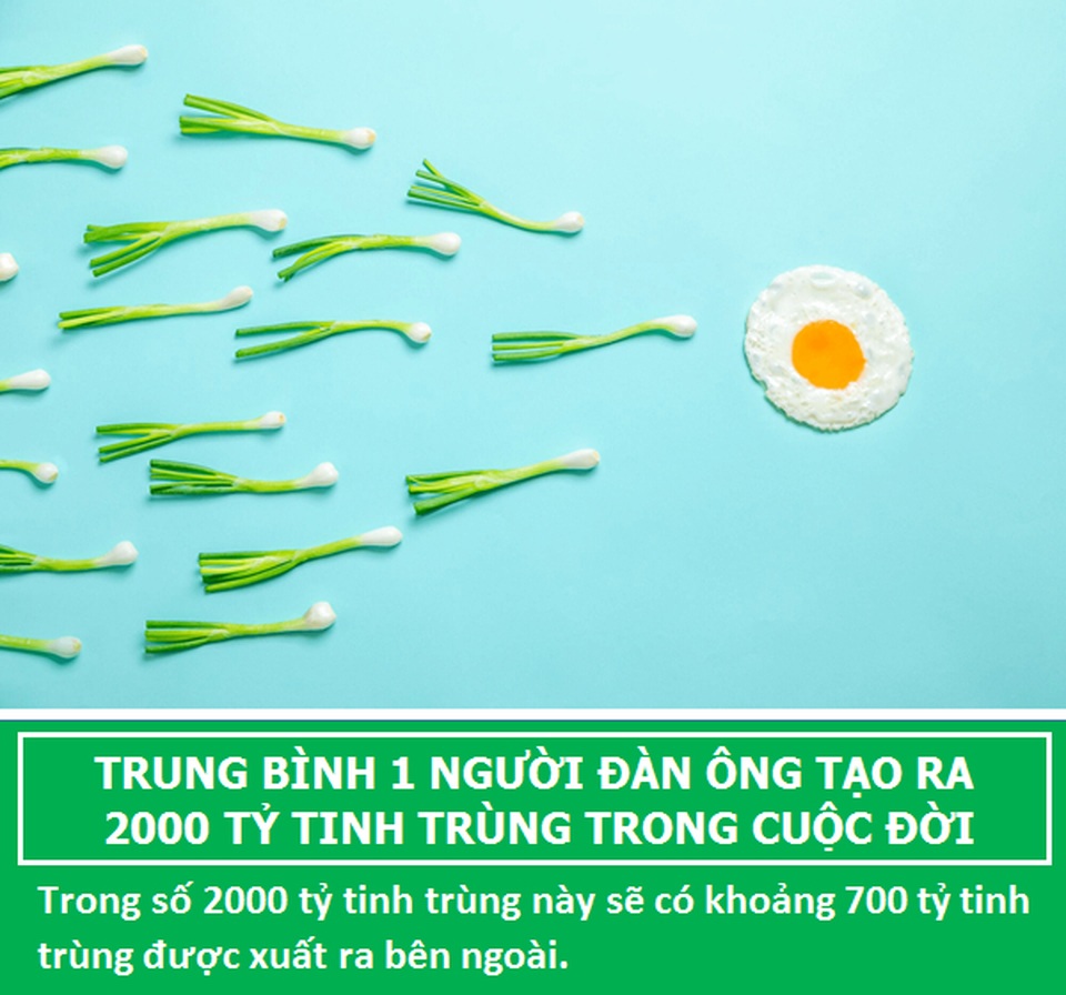 Bất ngờ với những sự thật ít biết về “đội quân” tí hon của các chàng - 5 Bất ngờ với những sự thật ít biết về “đội quân” tí hon của các chàng - 5