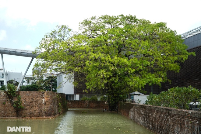 Chiêm ngưỡng cổ thành với tường cao, hào sâu giáp biển Đà Nẵng - 9 Chiêm ngưỡng cổ thành với tường cao, hào sâu giáp biển Đà Nẵng - 9