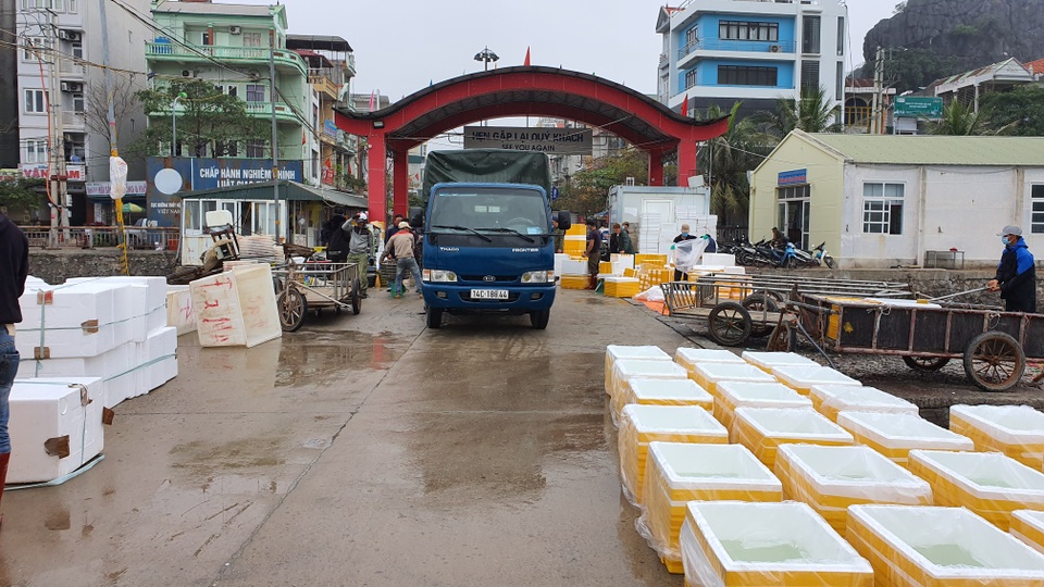Mục sở thị chợ cá nổi tiếng ở Cái Rồng, Vân Đồn sau bão Covid-19 - 6 Mục sở thị chợ cá nổi tiếng ở Cái Rồng, Vân Đồn sau bão Covid-19 - 6