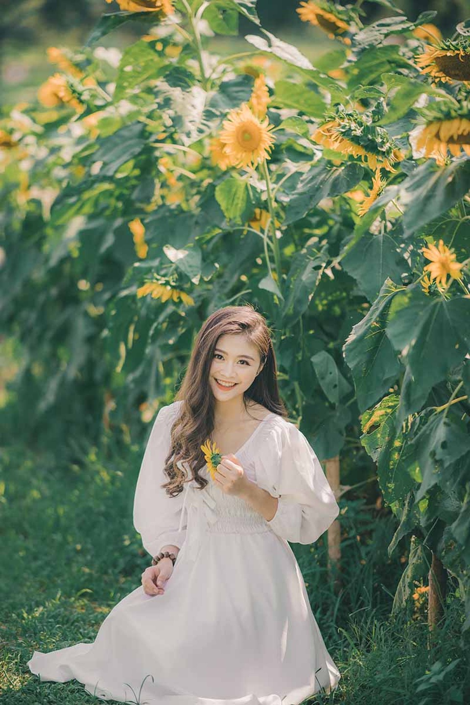 Cựu nữ sinh Ngoại thương khoe sắc bên hoa hướng dương - 5 Cựu nữ sinh Ngoại thương khoe sắc bên hoa hướng dương - 5